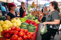 green market_mali bajmok_3